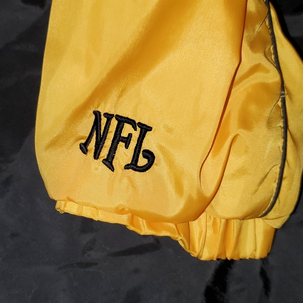 Steelers - Picture 5 of 9
